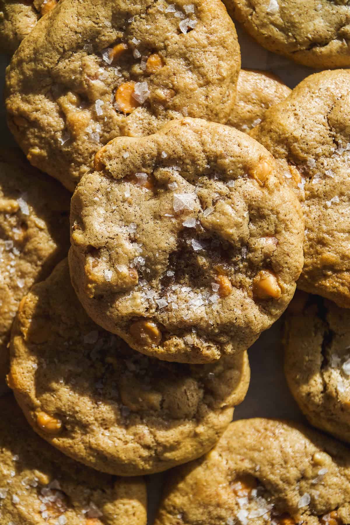 Up close view of butterscotch cookies with flaky sea salt.