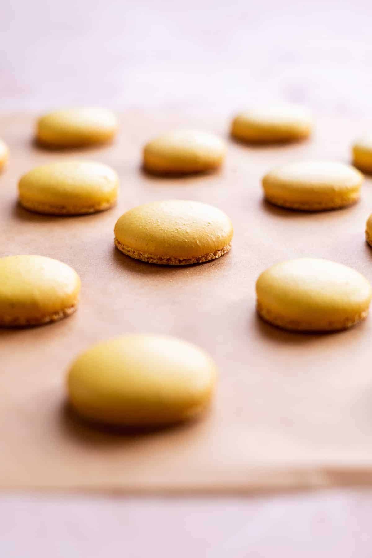 Image of macaron shells baked on parchment paper.