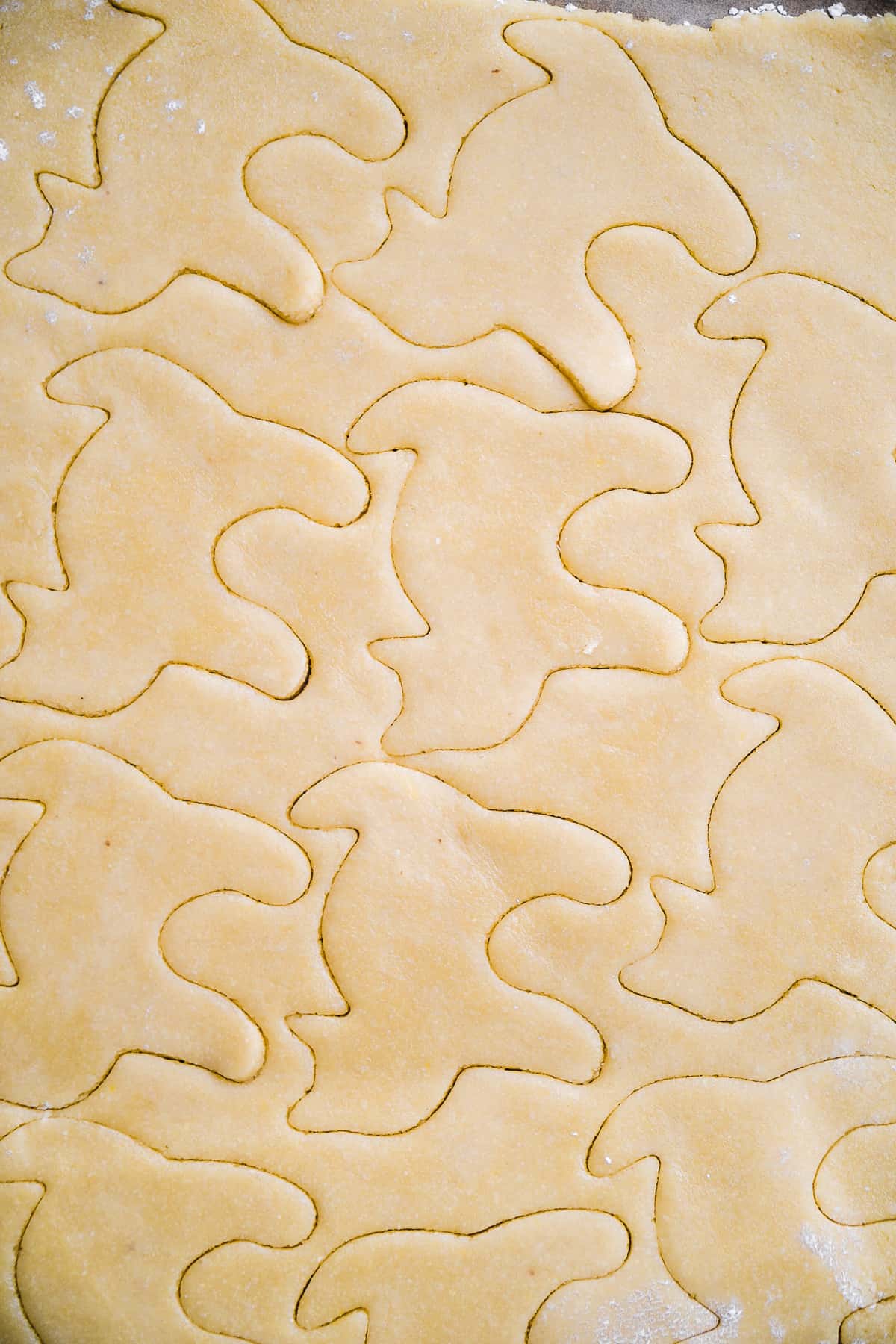 Overhead view of sugar cookie dough with cats cut out of it.