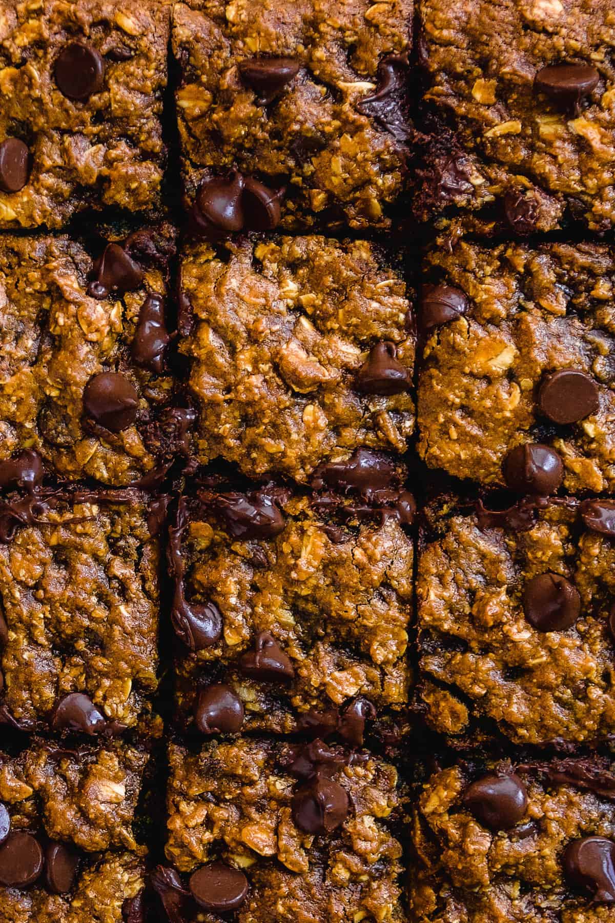 Overhead view of pumpkin oatmeal bars sliced into squares with chocolate on top.