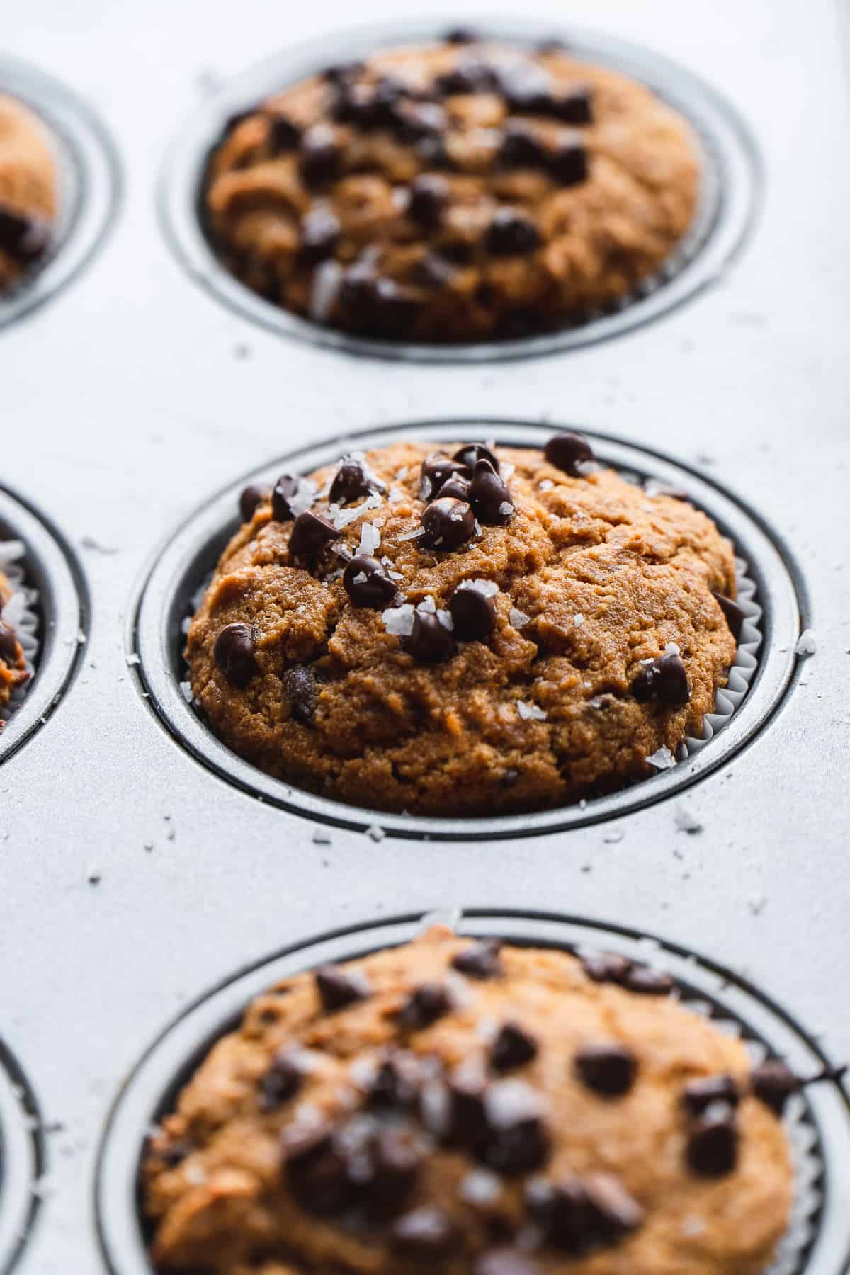 Paleo muffins with chocolate chips baked in a muffin tin.