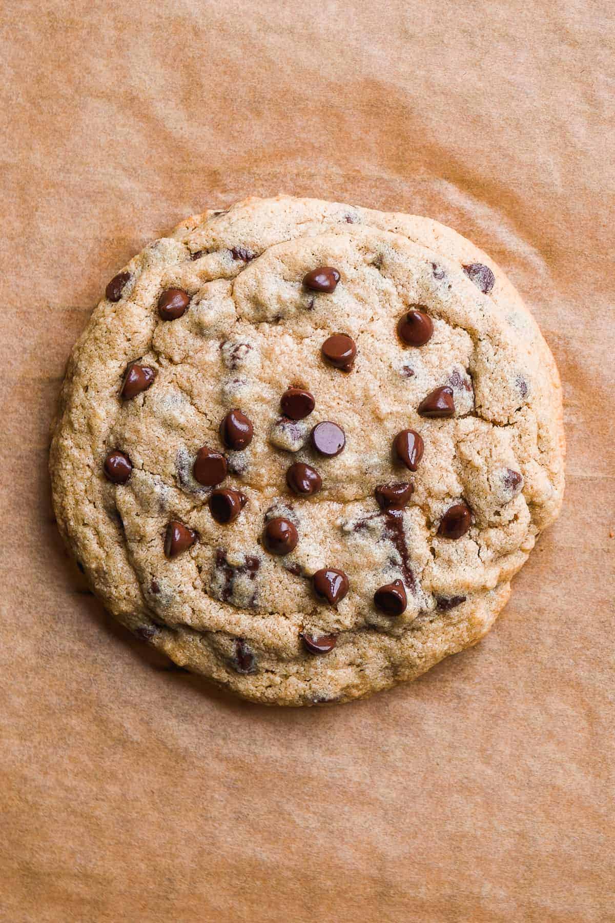 One oat flour cookie with chocolate chips on parchment paper.