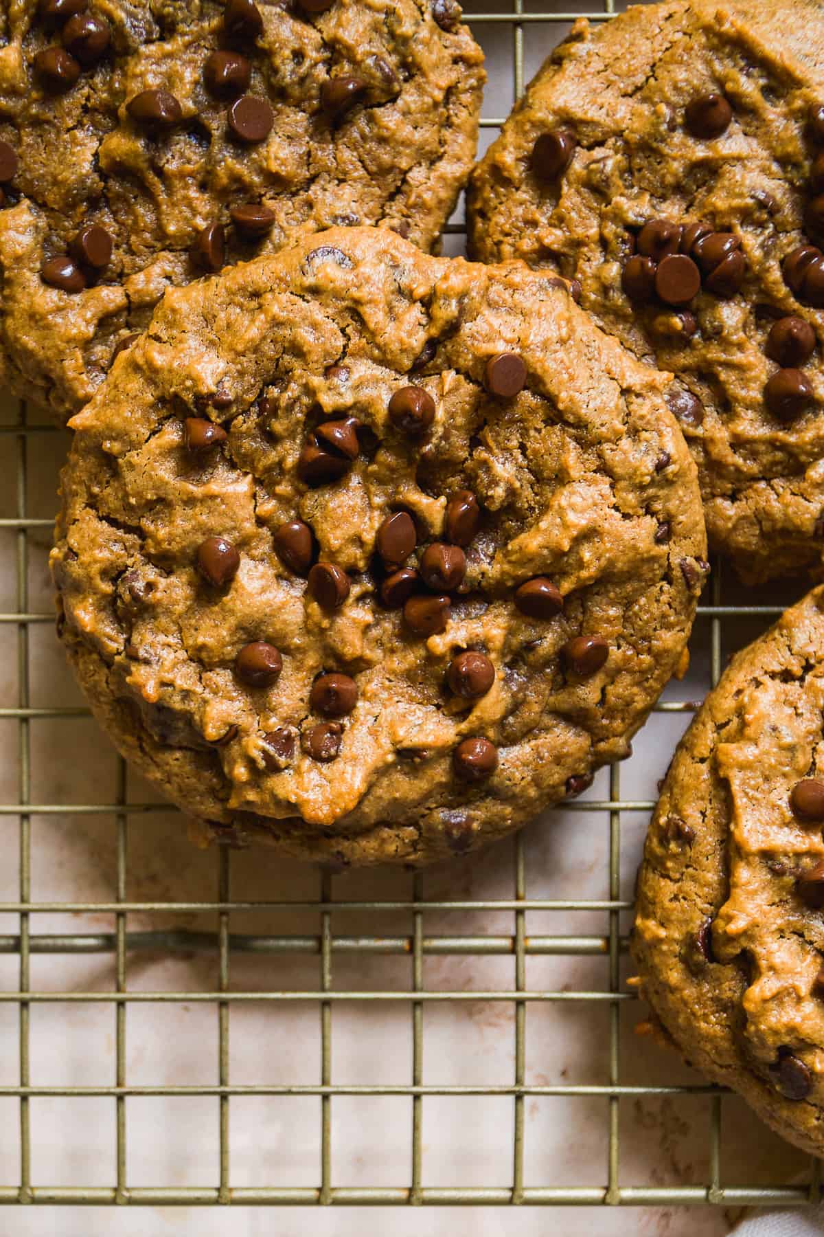 Peanut butter chocolate chip cookie on a rack to cool.
