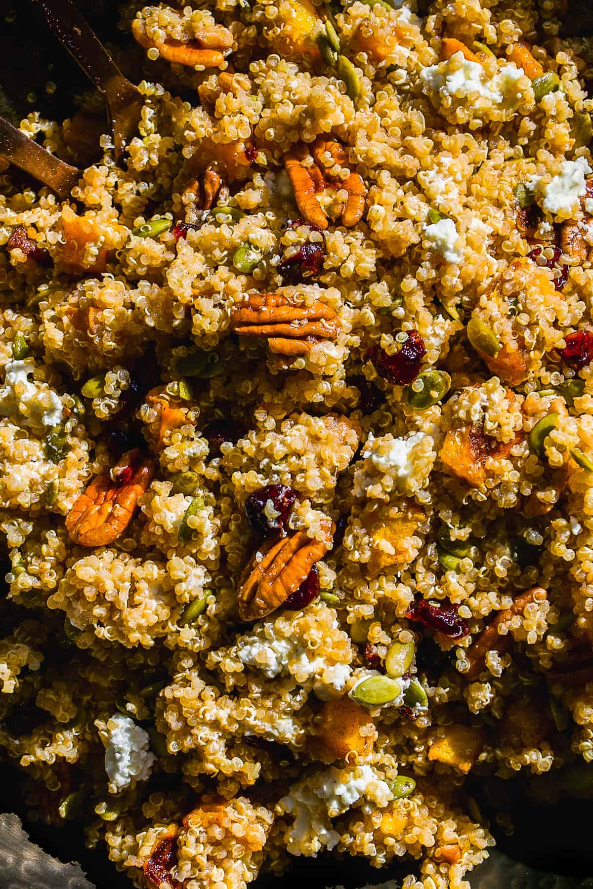 Quinoa salad with roasted pumpkin and goat cheese.