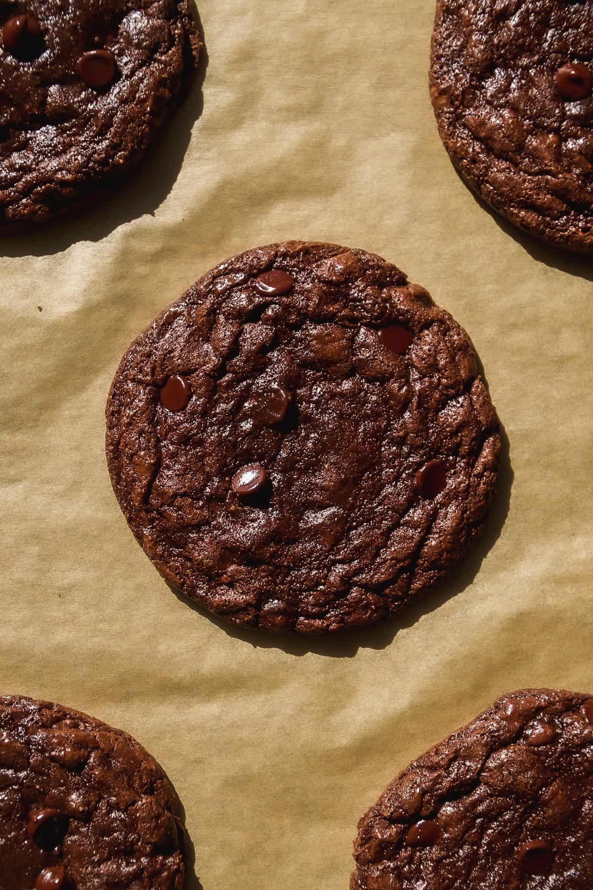 Chocolate brownie crinkle cookies baked on parchment paper.