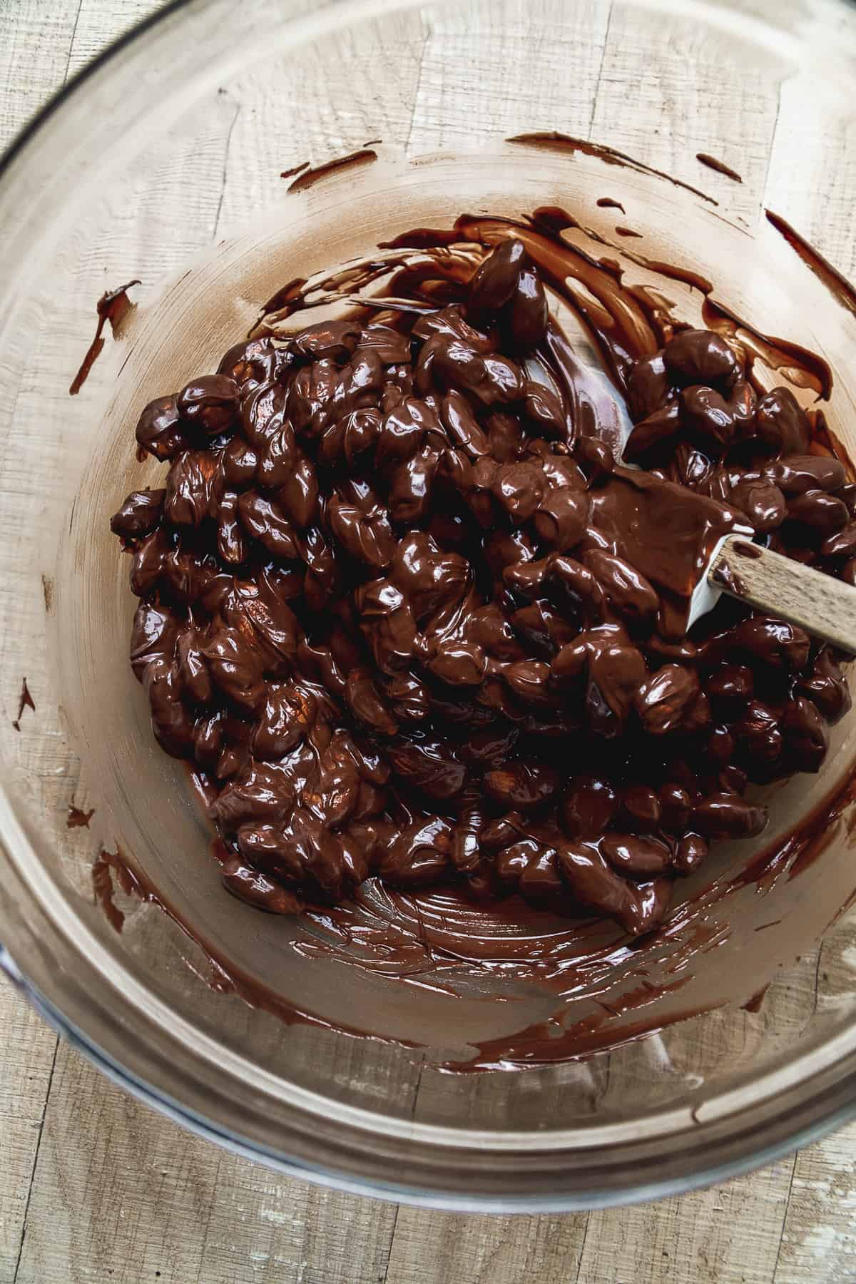 Bowl of almonds covered in melted chocolate.