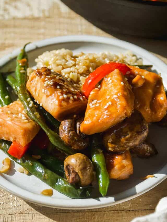 Small plate with salmon stir fry and rice.