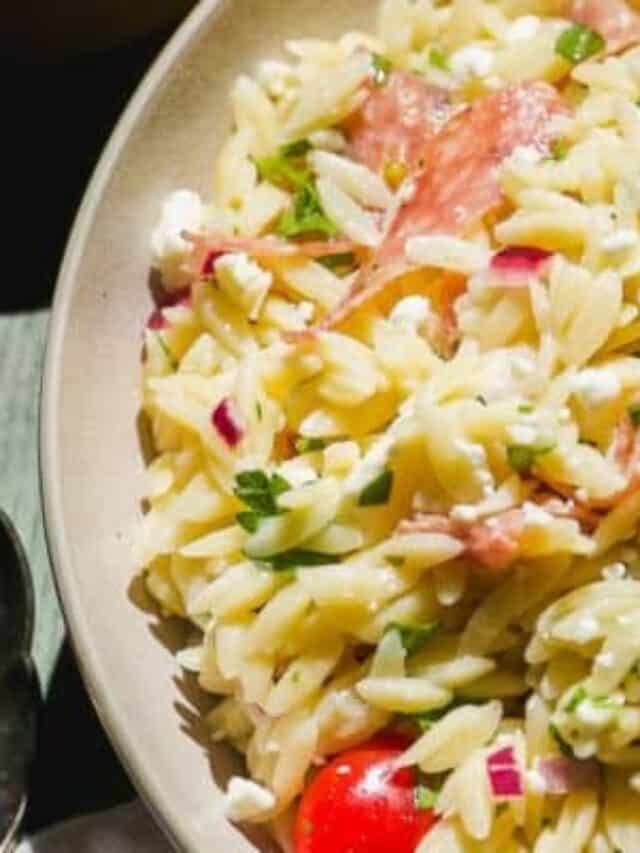 A close-up of a bowl of orzo pasta salad with chopped red onions, parsley, feta cheese, cherry tomatoes, and pieces of smoked salmon.