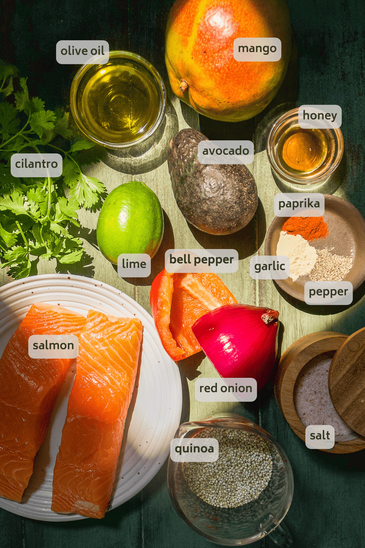 Salmon with mango salsa ingredients on a green backdrop.