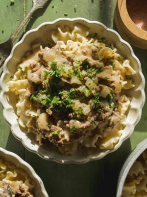 Beef stroganoff on top of pasta in a bowl with parsley on top.