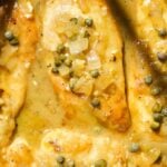 Up close view of chicken piccata in lemon sauce with capers on top.