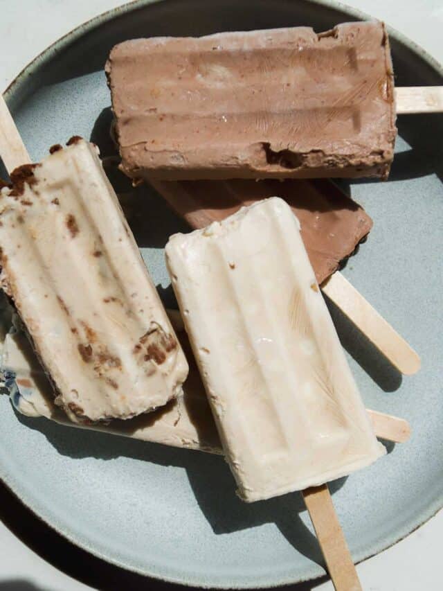 Three creamy popsicles, two chocolate and one vanilla with chocolate pieces, are arranged on a light gray plate in bright sunlight. The popsicles are stacked and slightly melting.