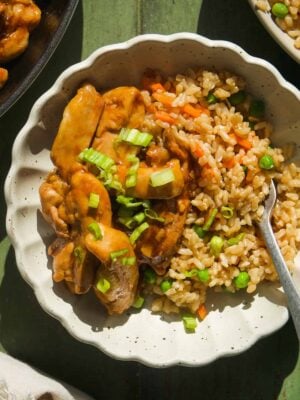 Teriyaki chicken in a bowl with fried rice with sauce.