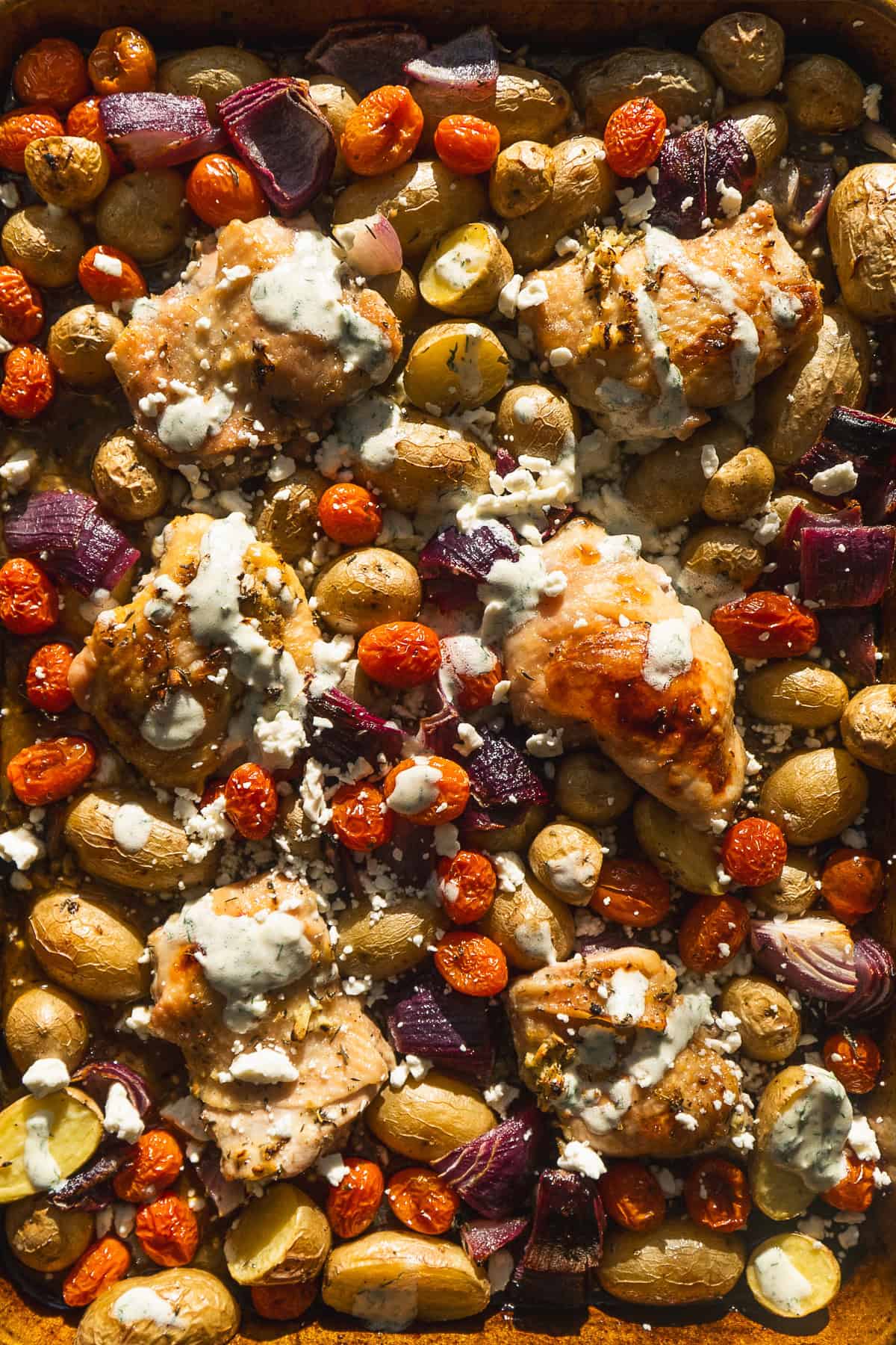 Overhead view of a sheet pan with roasted chicken and veggies covered in feta and dill sauce.