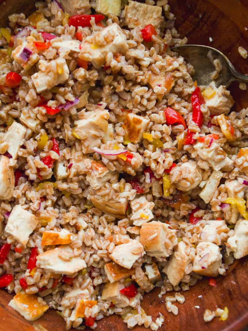 A close-up of a bowl filled with a mixed grain salad containing diced chicken, red bell peppers, yellow bell peppers, red onions, and cooked brown rice or barley, with a spoon partially visible.