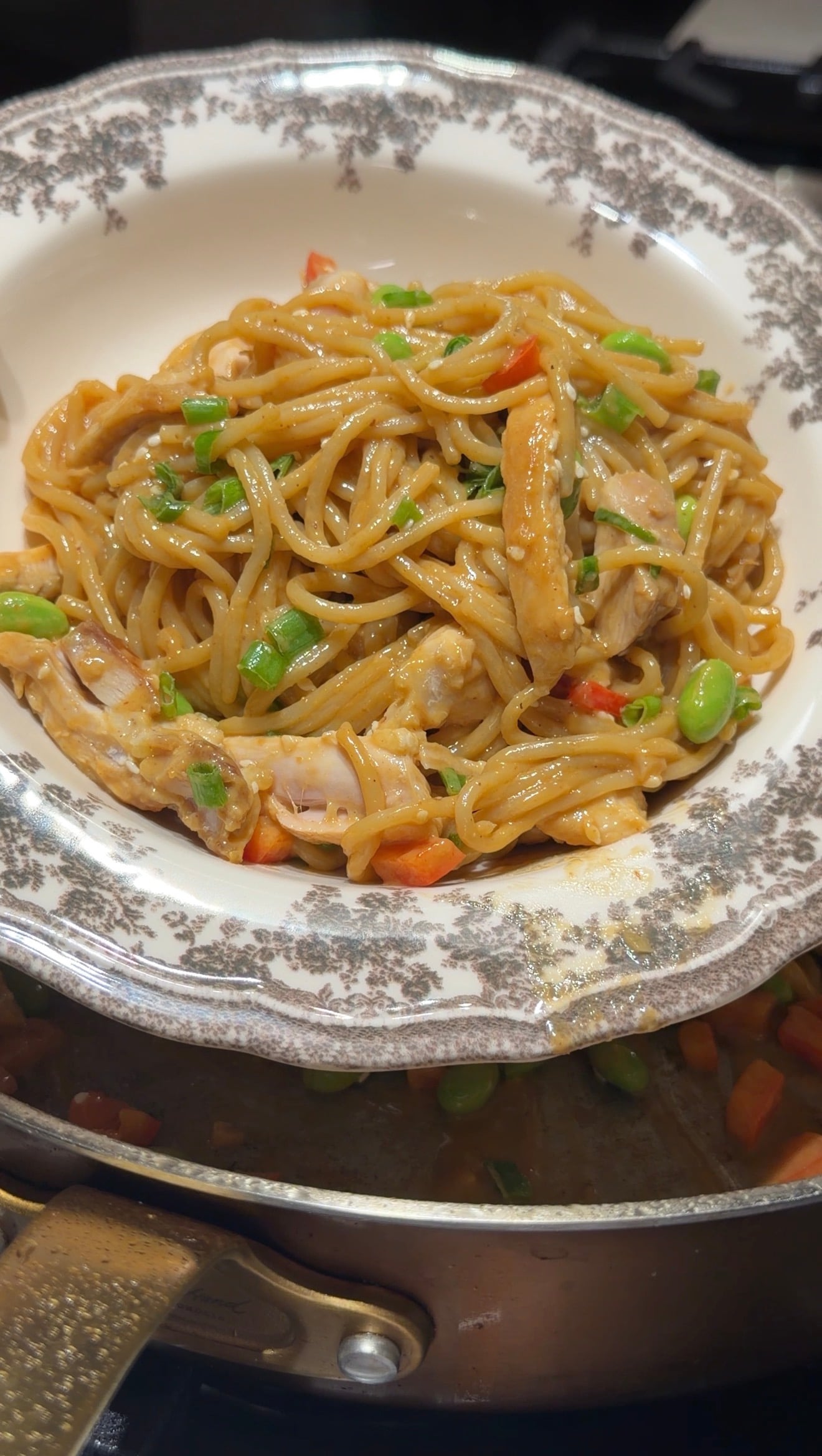 A bowl of lo mein noodles with sliced chicken, green onions, edamame, and carrots sits on a patterned plate, with a pan of more noodles in the background.