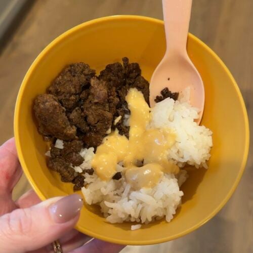 A yellow bowl held by a hand, containing white rice and ground meat topped with a creamy sauce, with a peach-colored spoon resting inside.