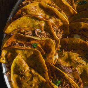A close-up of several golden, crispy tacos filled with shredded meat, garnished with herbs, arranged on a white plate in sunlight.