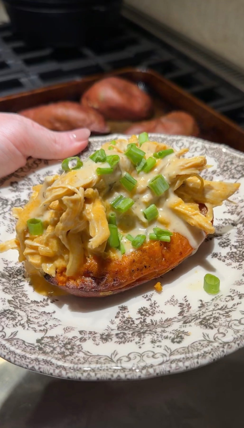 Baked sweet potato topped with creamy shredded chicken and chopped green onions on a patterned plate.