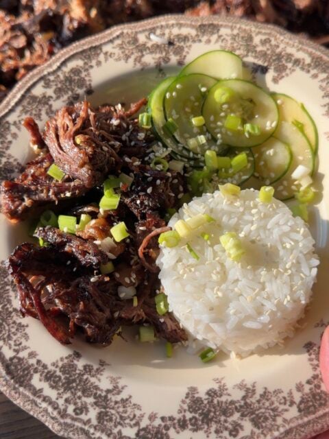 A plate featuring shredded dark meat, a scoop of white rice, and sliced cucumbers, all garnished with sesame seeds and chopped green onions.