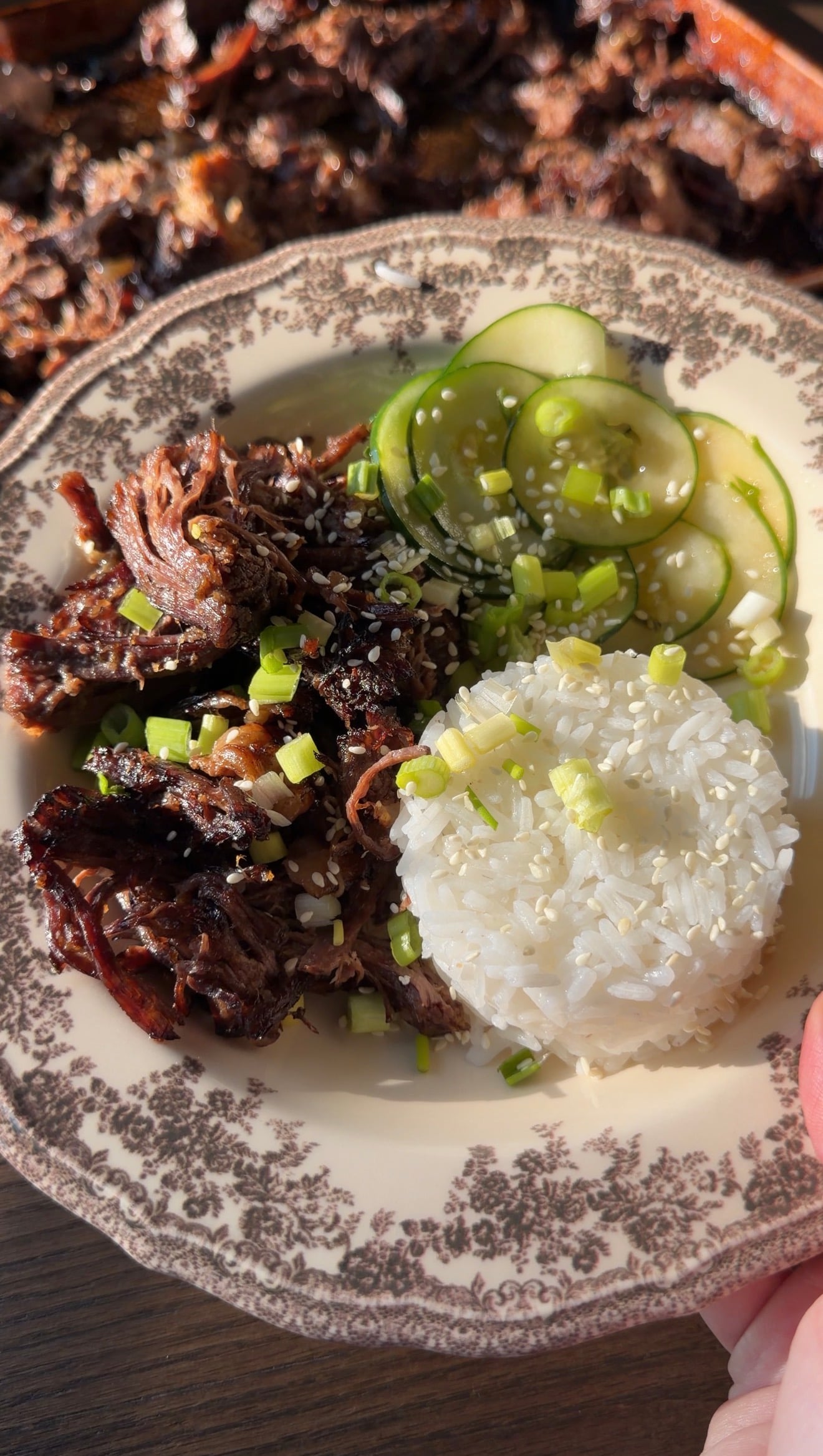 A plate featuring shredded dark meat, a scoop of white rice, and sliced cucumbers, all garnished with sesame seeds and chopped green onions.