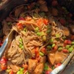 Slow cooker pasta with chicken, edamame, and red bell peppers in a creamy sauce.